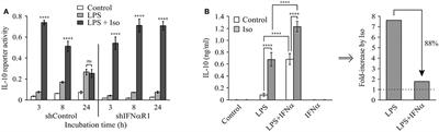 Exclusive Temporal Stimulation of IL-10 Expression in LPS-Stimulated Mouse Macrophages by cAMP Inducers and Type I Interferons